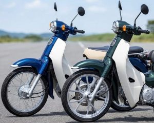 カブ 型式の違いを整理｜JA44・JA59・50・110