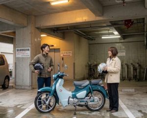 カブは二人乗りできる？50cc・110ccで違う条件を整理